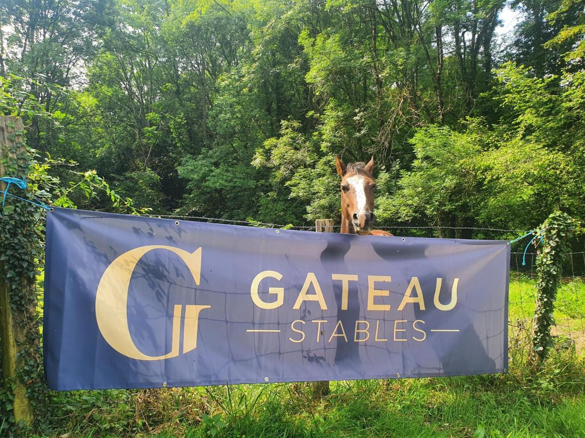 Ferme Equestre & Chambres D'Hotes Gateau Stables Proche Guedelon Saint-Amand-en-Puisaye Exteriör bild