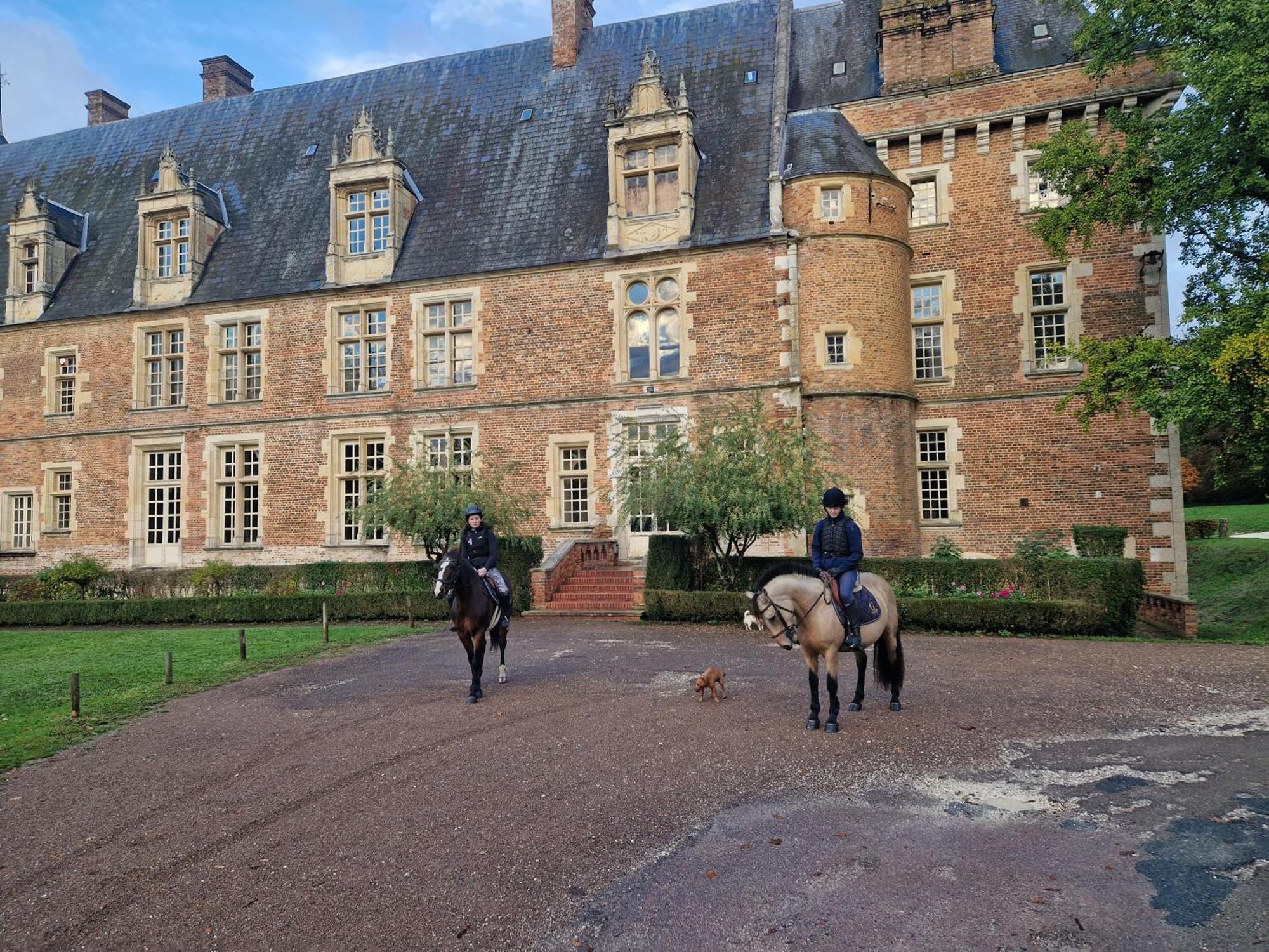 Ferme Equestre & Chambres D'Hotes Gateau Stables Proche Guedelon Saint-Amand-en-Puisaye Exteriör bild